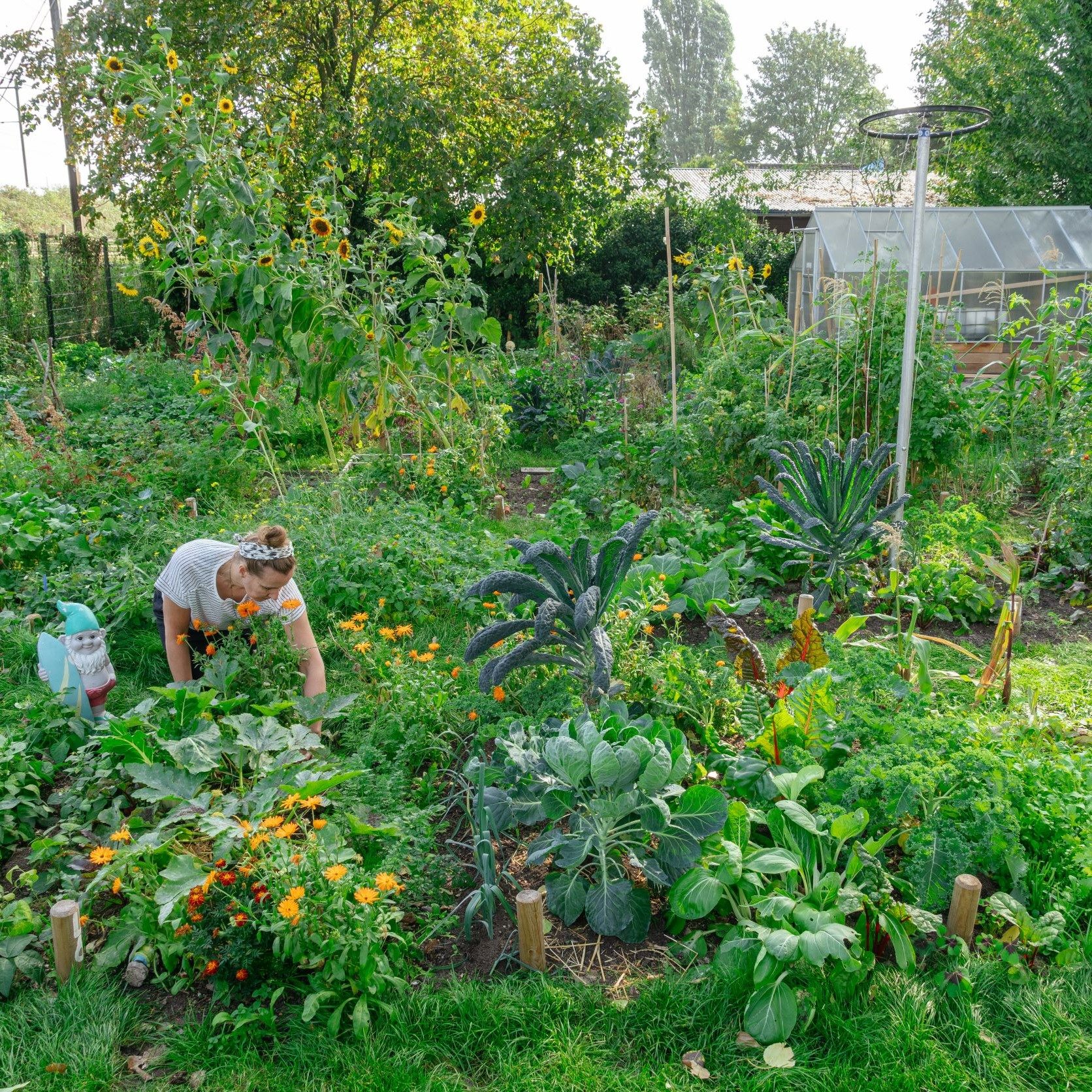 In een moestuin is iemand aan het werk