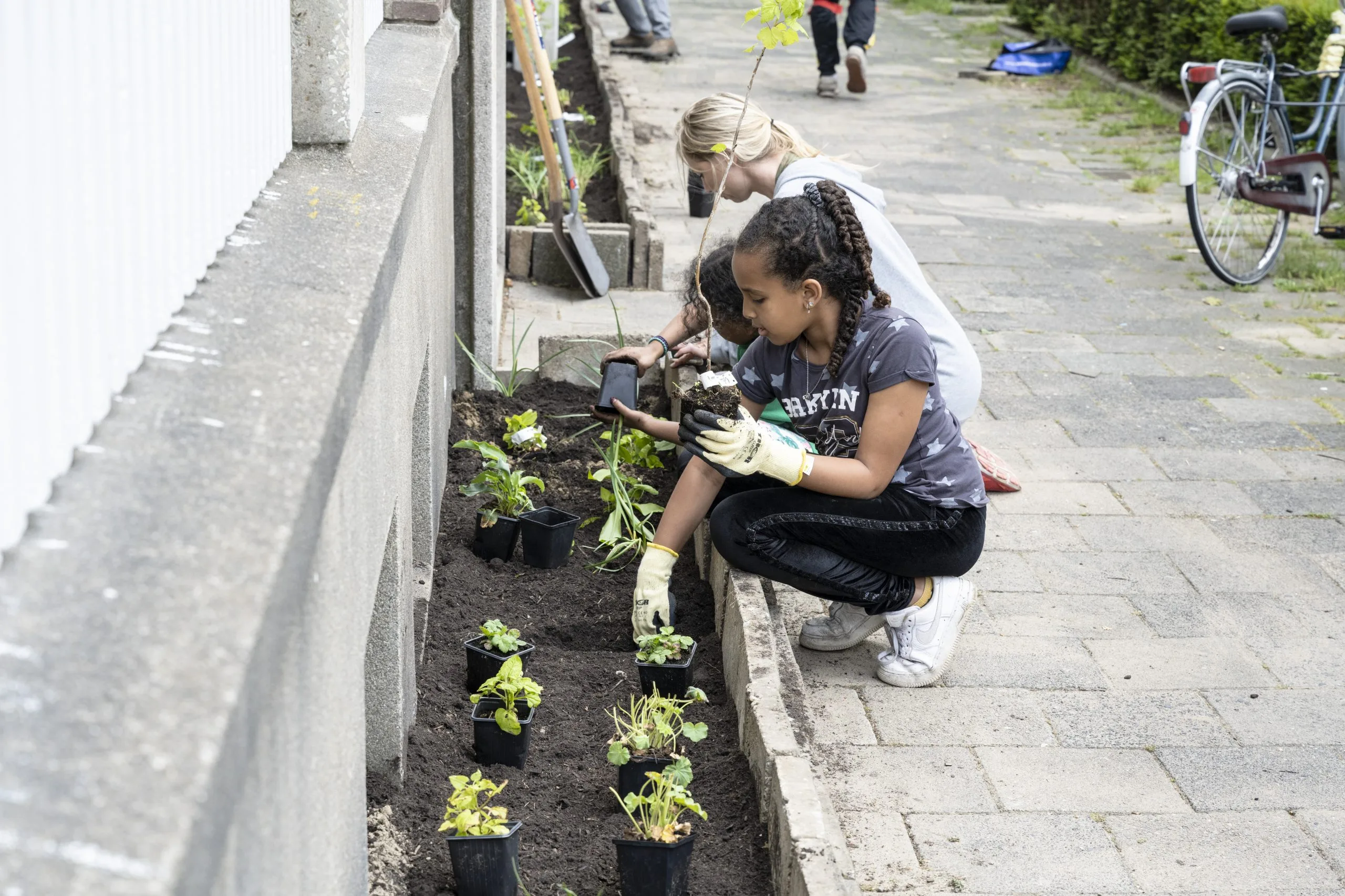 Geveltuin wordt aangelegd tijdens het NK tegelwippen in Utrecht