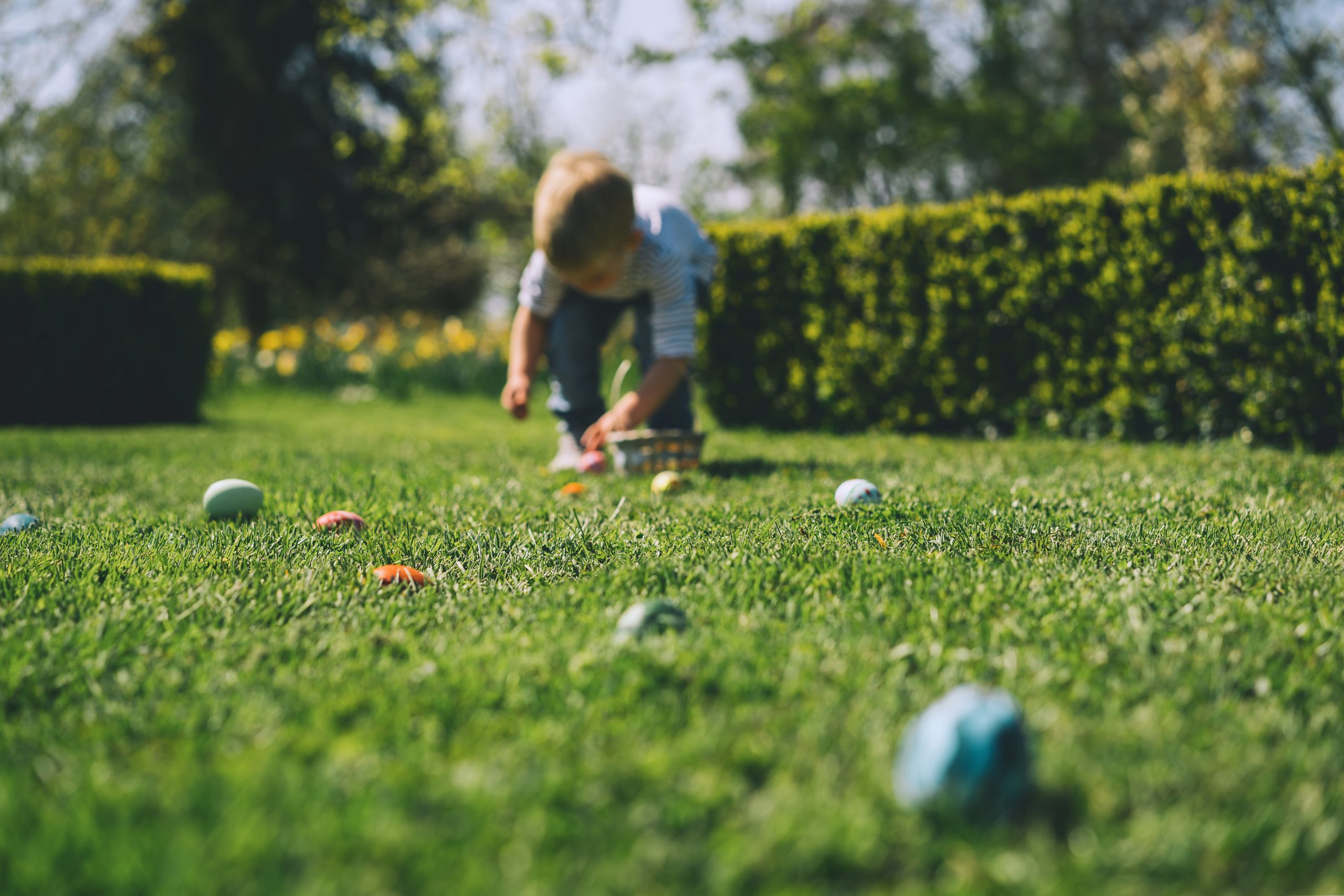 Op een groen grasveld liggen paaseieren, waar een kind in de achtergrond naar zoekt