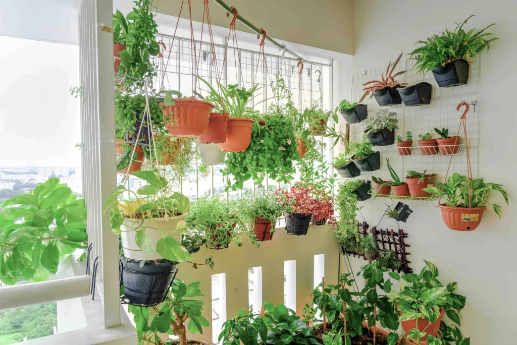 Verschillende hangplanten samen op een balkon