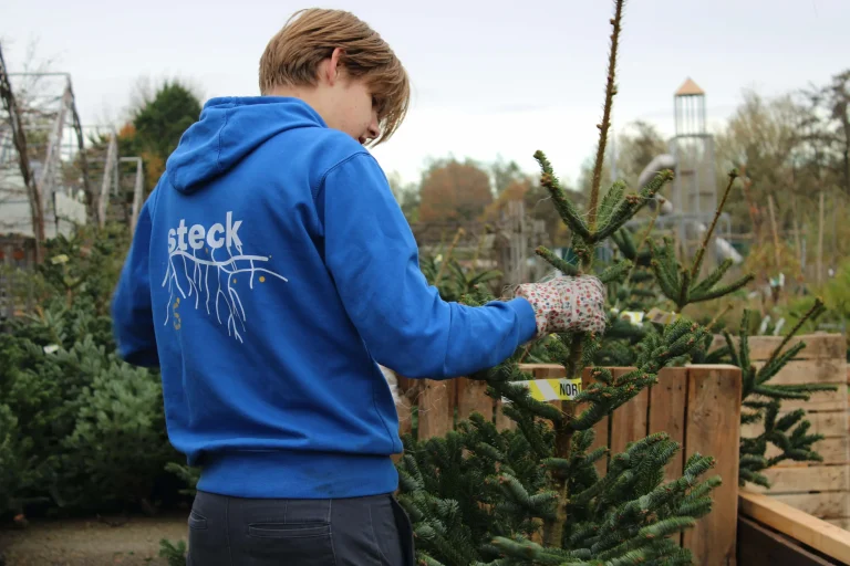 Een medewerker van Steck houdt een Nordmann kerstboom vast