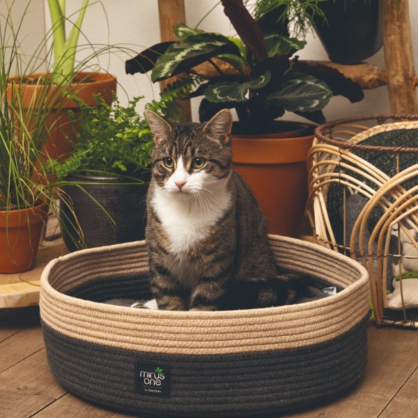 Kat zit comfortabel in haar duurzame kattenmand