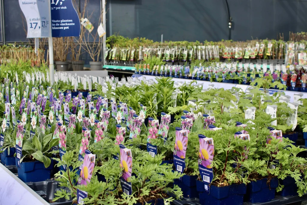 Vaste planten van Hello Garden bij Steck in Utrecht 2