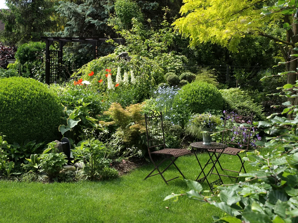 Een groene tuin met allerlei planten die grenzen aan een mooi gazon