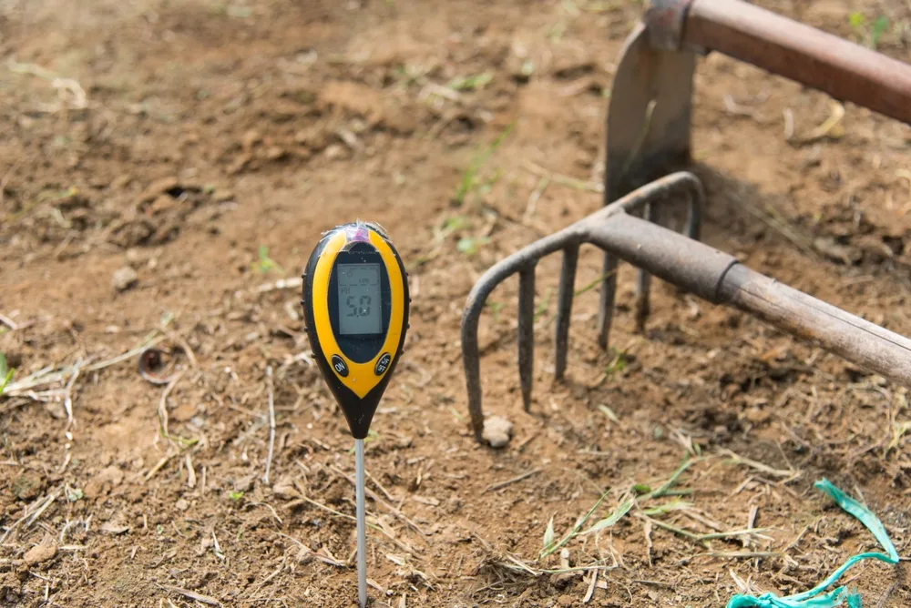 Een digitale pH-meter met een geel-zwarte behuizing is in de grond gestoken, waarbij het LCD-scherm een waarde van 5.8 aangeeft, wat duidt op de zuurtegraad van de bodem. De achtergrond is onscherp, maar je kunt een oude metalen tuinvork herkennen, wat suggereert dat de grond recent bewerkt is. Deze afbeelding illustreert het gebruik van technologie in tuinieren om de grondcondities te monitoren, wat essentieel is voor het succesvol kweken van diverse plantensoorten.