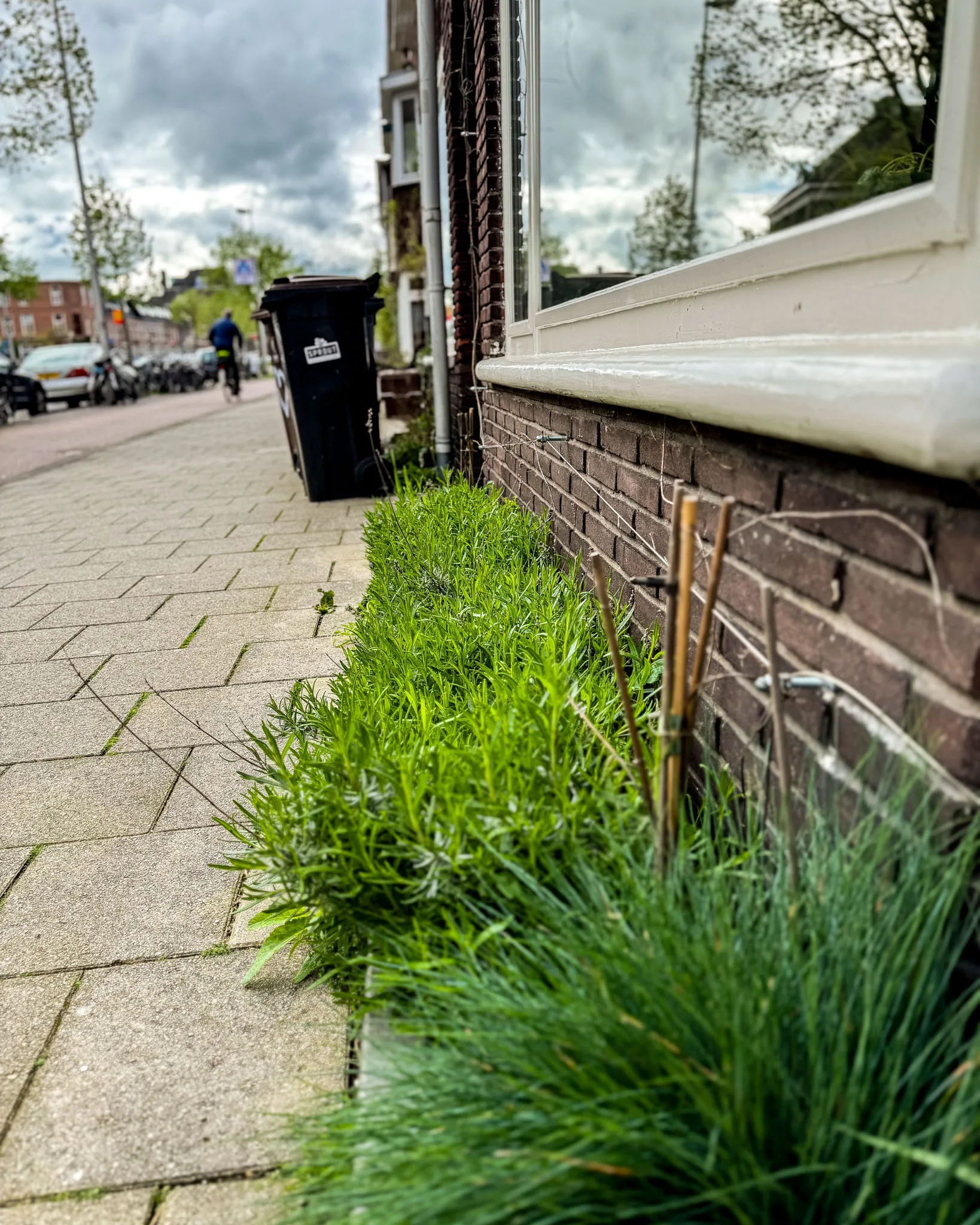 geveltuintje in Utrecht