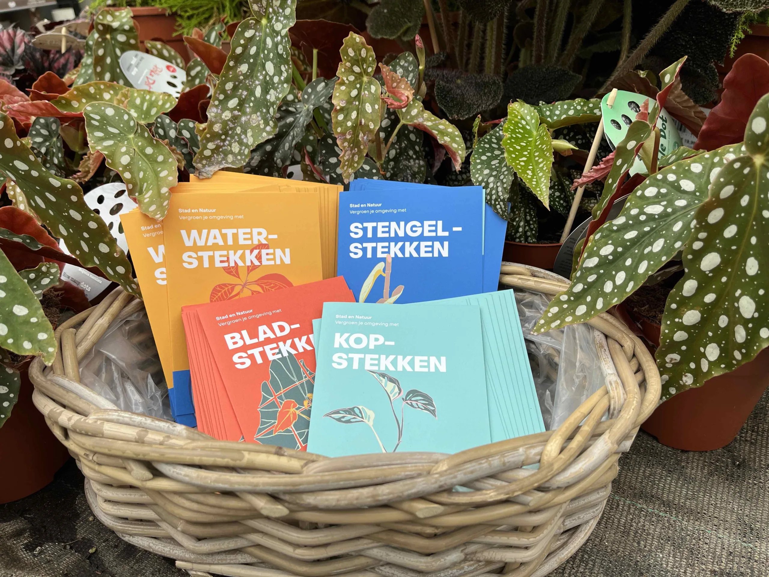 boekjes met instructies om stekjes te maken van verschillende planten, van Steck in Utrecht