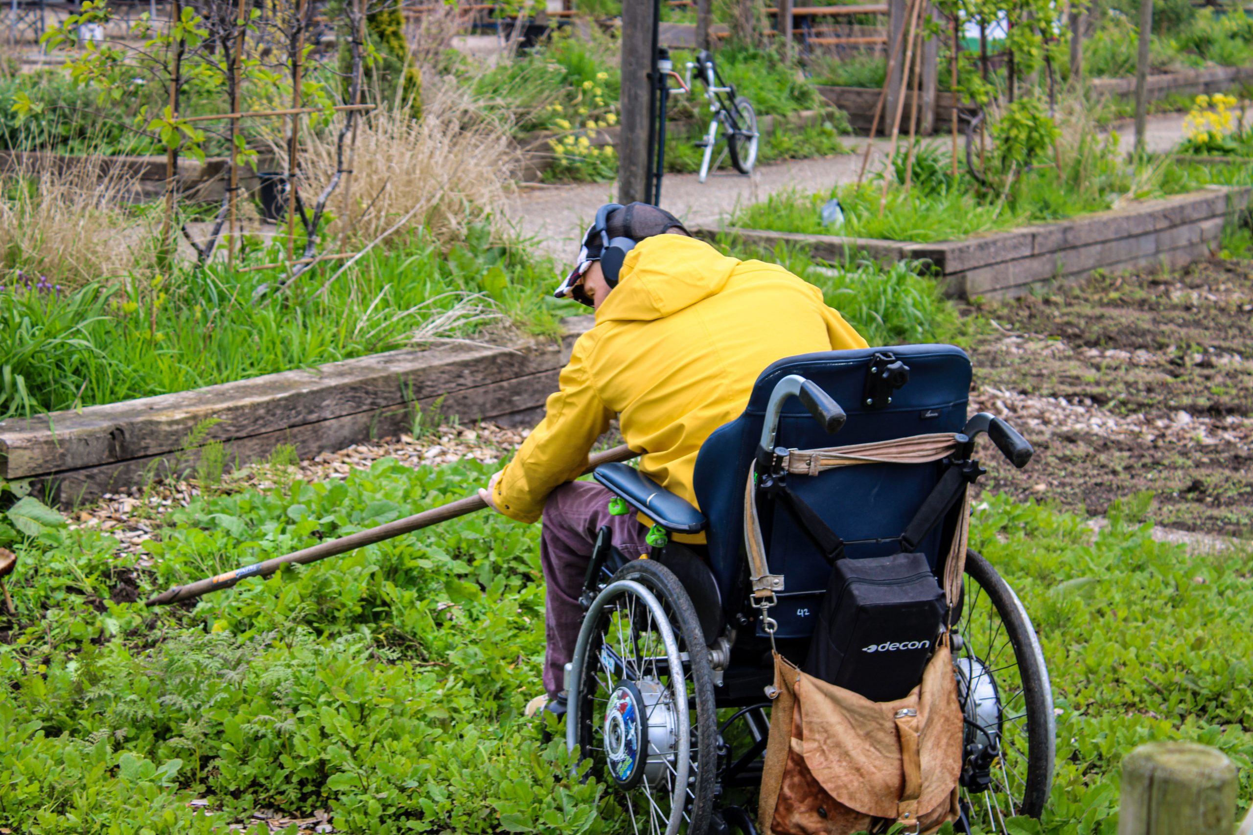 Vrijwilliger werkt actief aan de Voedseltuin Overvecht, uitgerust met een lange hark om het tuinbed te bewerken.