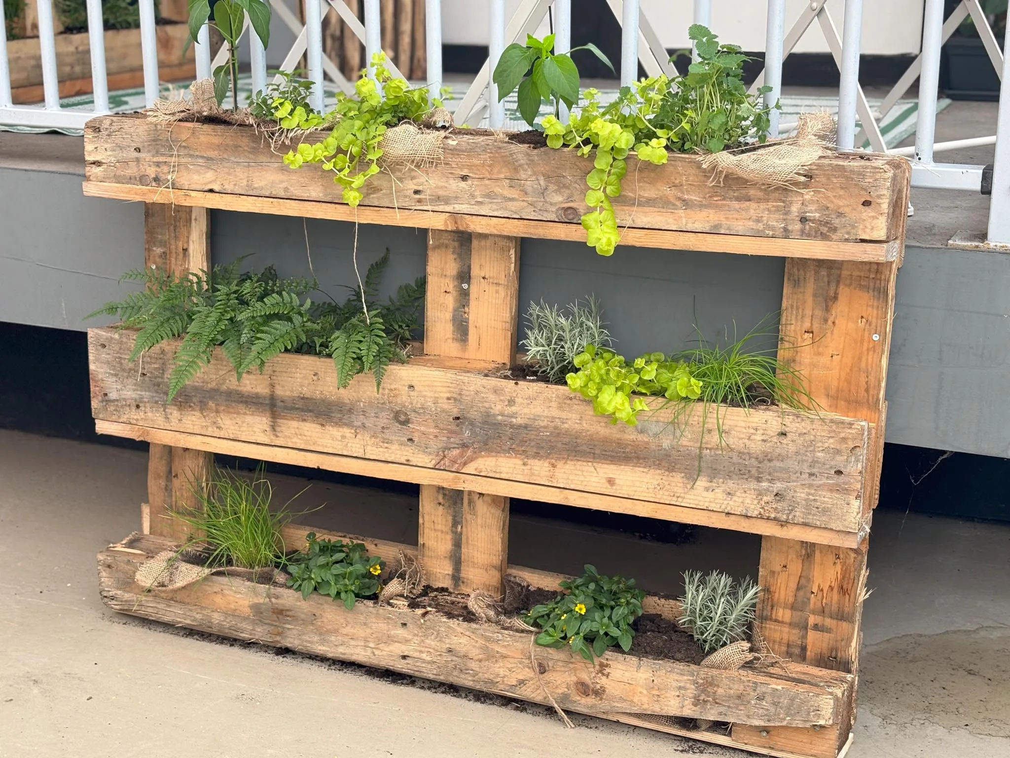 Duurzame plantenbak gemaakt van een hergebruikte houten pallet met verschillende groene planten en bloemen op een balkon.