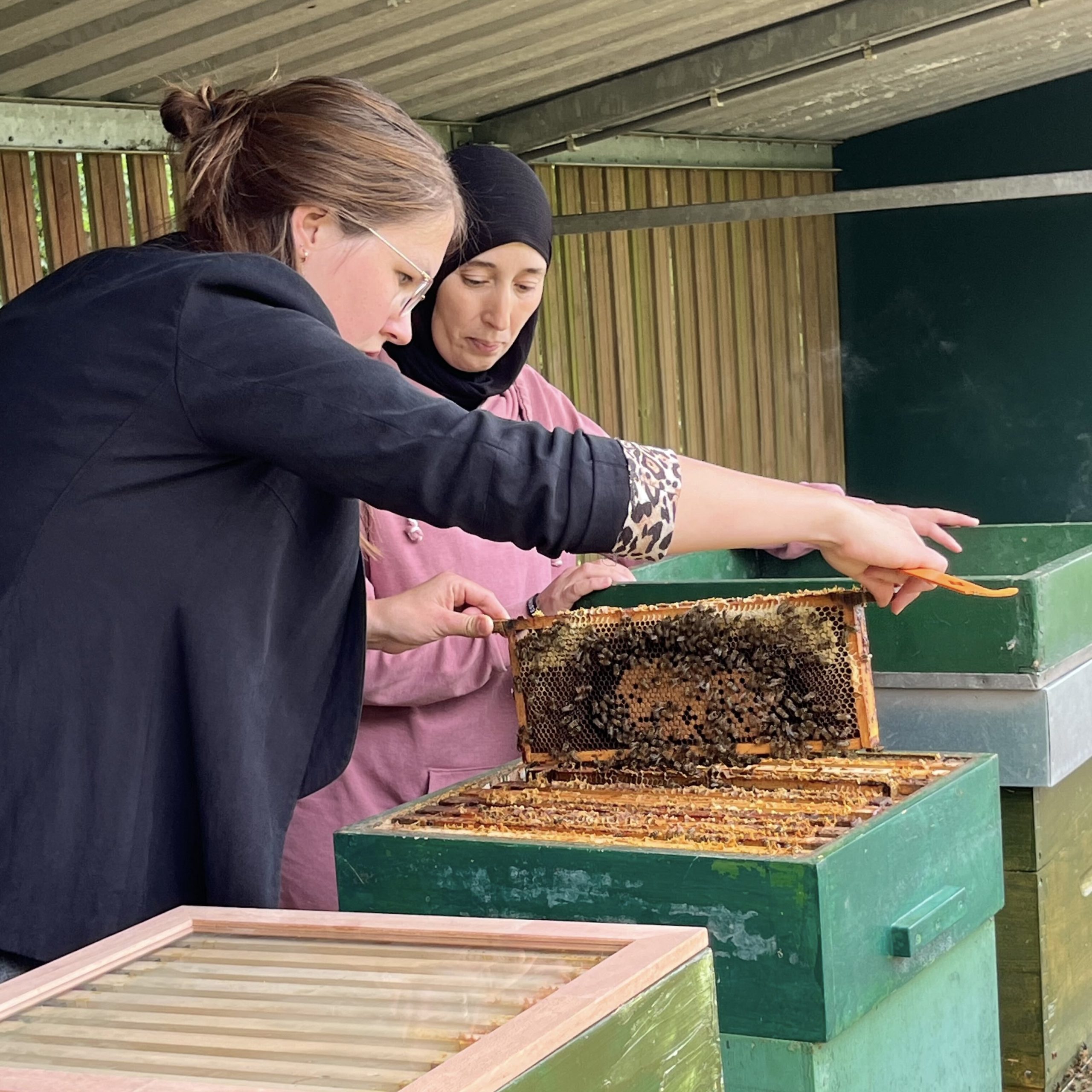 Twee imkers, Rabia en Daniëlle, werken samen aan een bijenkorf. Daniëlle houdt de bijenraat vast terwijl Rabia nauwkeurig kijkt en helpt. Ze staan onder een afdak in de bijenstal van Steck in Utrecht Overvecht