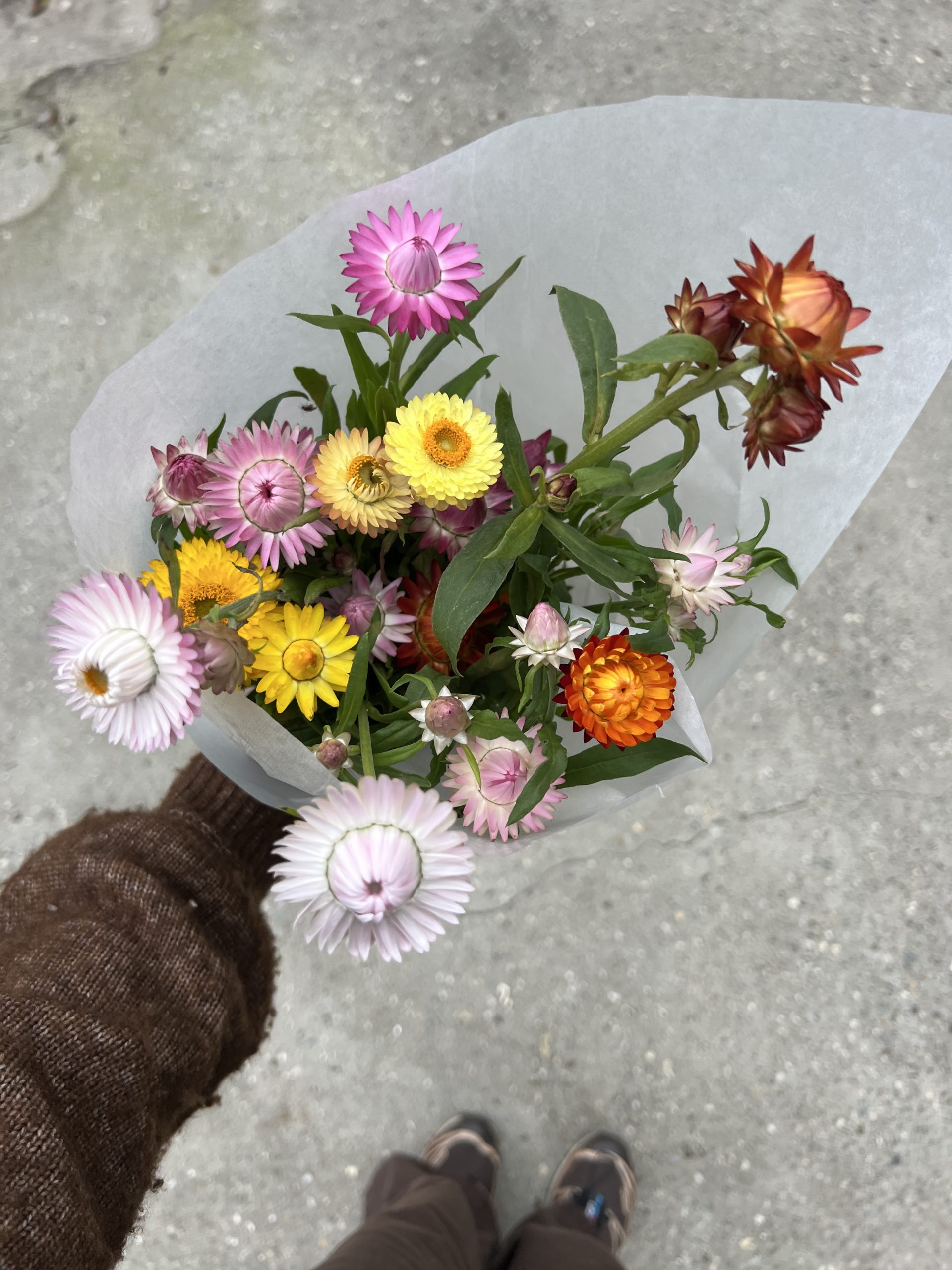 Een hand die een boeket kleurrijke bloemen vasthoudt, waaronder roze, gele en oranje bloemen. De achtergrond is een grijze ondergrond, waarbij de hand en het boeket centraal staan.