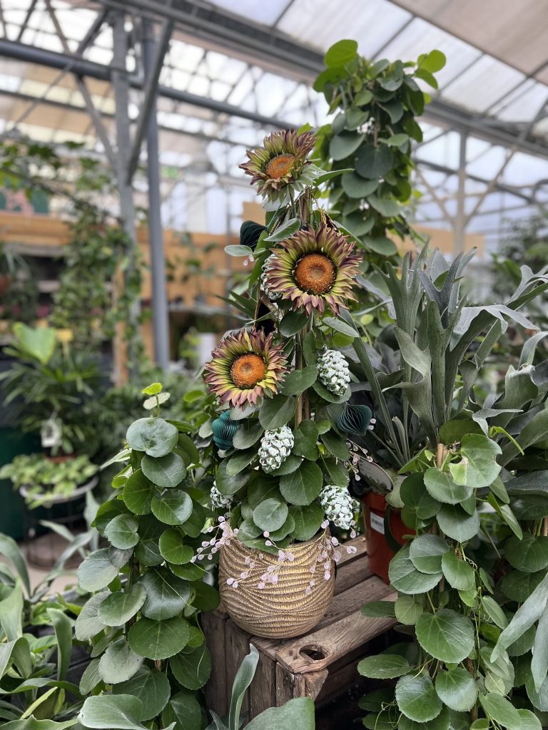 Een kamerplant is versierd met zilveren dennenappels en kunstbloemen om er een bijzondere duurzame kerstboom van te maken