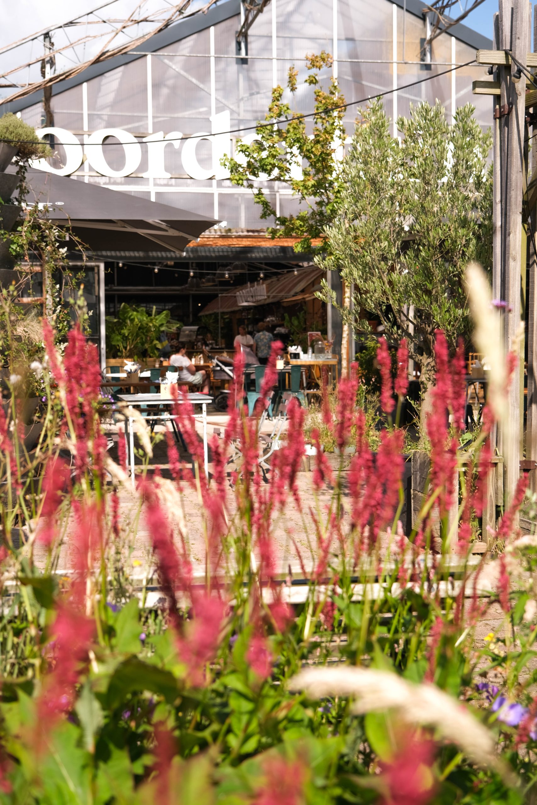 Een zonnig terras bij Noordertuin, waar mensen ontspannen aan tafeltjes zitten en genieten van hun tijd samen. De sfeer is gezellig en ontspannen, met verschillende mensen die aan het eten en drinken zijn. Op de achtergrond is de gevel van de kas zichtbaar met een groot deel van het woord Noordertuin erop. Er is wat groen te zien, zoals een jonge boom en planten, die het terras een natuurlijke en levendige uitstraling geven. Het geheel straalt een uitnodigende en ontspannen zomersfeer uit.