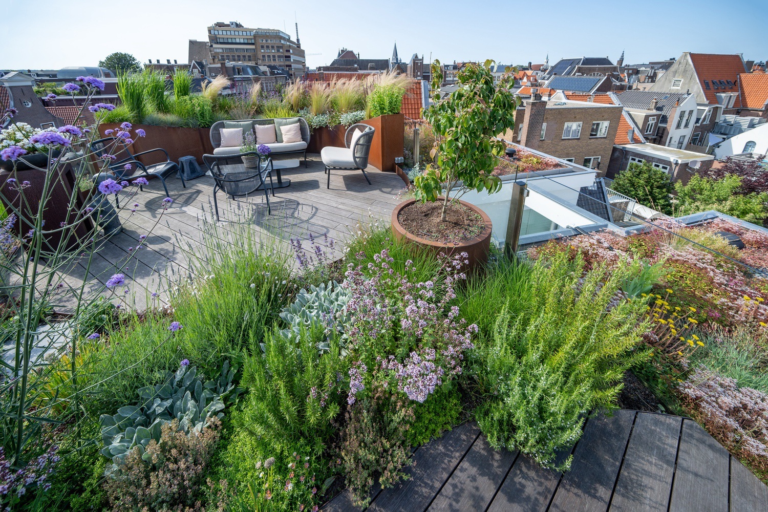 Een groen dakterras met een houten terras en comfortabele zitplekken, omgeven door bloeiende planten en siergrassen. De daken van omliggende historische gebouwen zijn zichtbaar in de achtergrond, wat een contrast vormt met het weelderige groen op het dak.