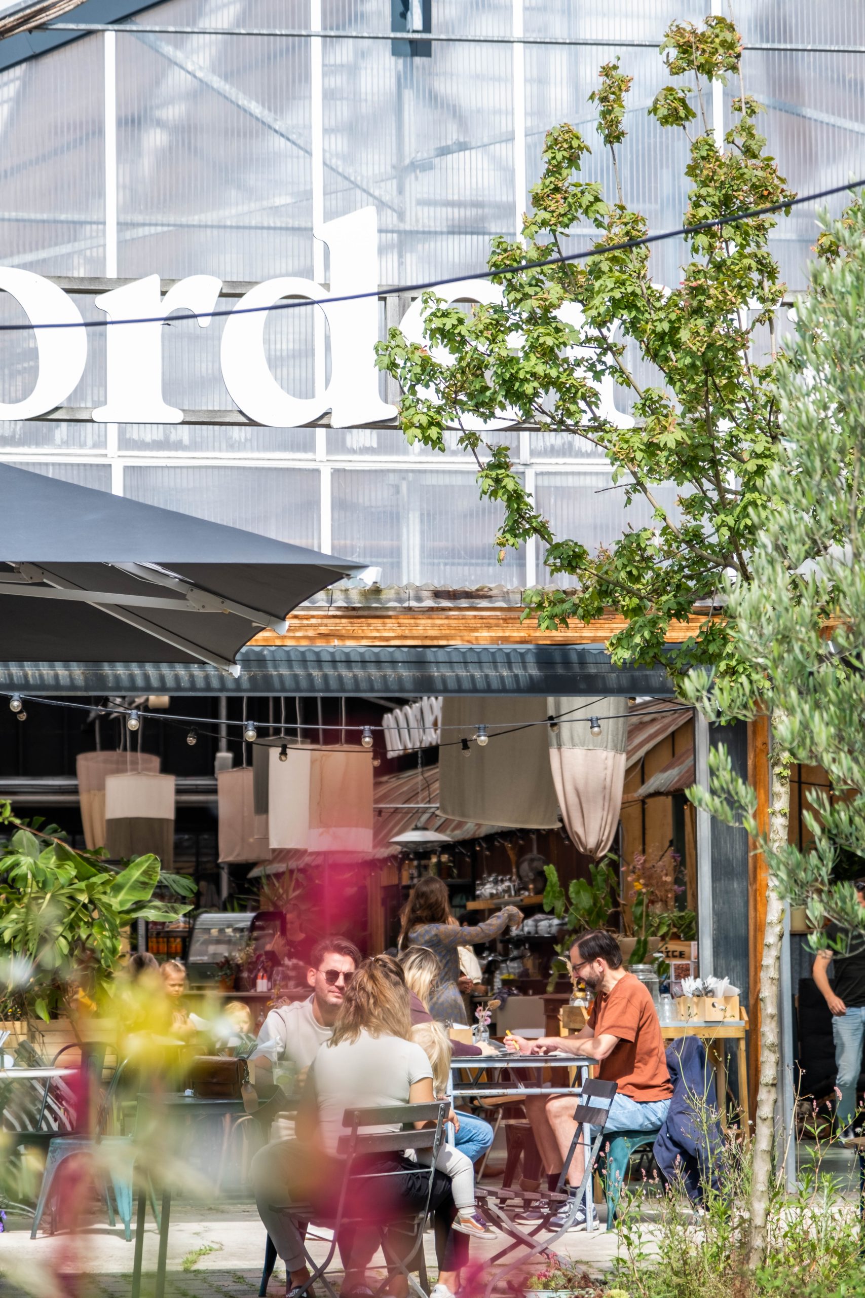 Een zonnig terras bij Noordertuin, waar mensen ontspannen aan tafeltjes zitten en genieten van hun tijd samen. De sfeer is gezellig en ontspannen, met verschillende mensen die aan het eten en drinken zijn. Op de achtergrond is de gevel van de kas zichtbaar met een groot deel van het woord Noordertuin erop. Er is wat groen te zien, zoals een jonge boom en planten, die het terras een natuurlijke en levendige uitstraling geven. Het geheel straalt een uitnodigende en ontspannen zomersfeer uit.