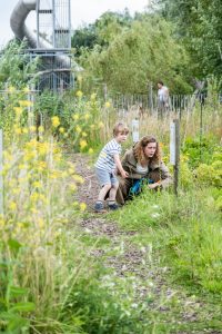 Een moeder en haar jonge zoon verkennen samen voedseltuin Overvecht. De moeder bukt zich om iets in het groen te onderzoeken, terwijl de jongen nieuwsgierig meekijkt. Ze bevinden zich op een smal, met houtschors bedekt pad, omringd door weelderige groene planten en wilde bloemen. Op de achtergrond is een hoge, metalen glijbaan zichtbaar, wat een speelse sfeer toevoegt aan de natuurlijke omgeving. Het tafereel straalt een gevoel van ontdekking en verbondenheid met de natuur uit.