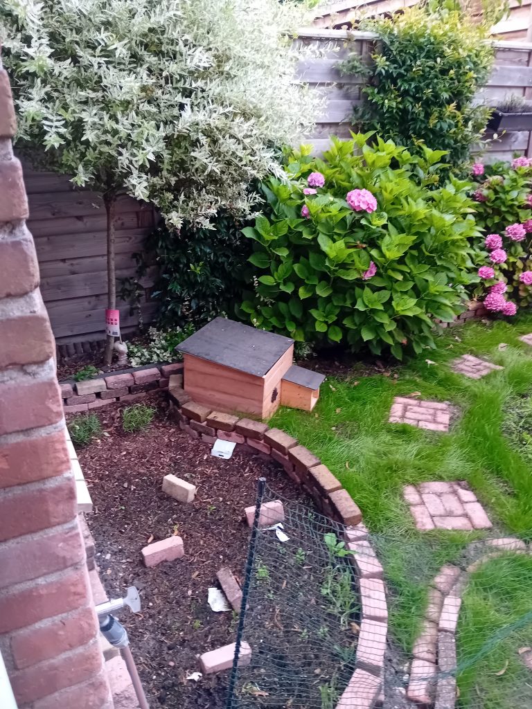 Egelhuis in een goed onderhouden tuin, omringd door een boom en hortensia’s, geschikt voor egels om te schuilen en overwinteren.